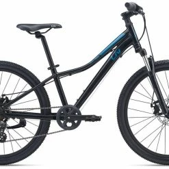 2022 Giant Enchant Disc 24"