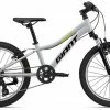 2022 Giant XtC Jr 20 Grey Bikes