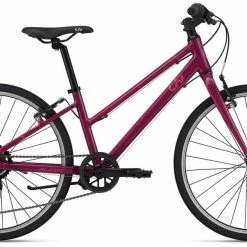 2022 Giant Liv Alight 24