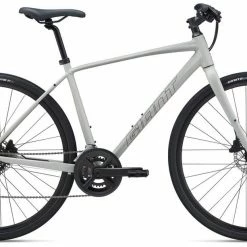 Bikes 2022 Giant Cross City 2 Disc