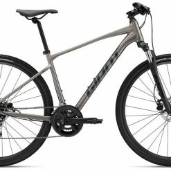 2022 Giant Roam 3 Disc