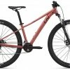 2022 Giant Tempt 4 Terra Roza