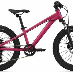 2022 Giant/Liv STP 20 FS