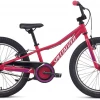 Specialized Bicycle Components Bikes Specialized Riprock Coaster 20 Pink