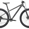 Bikes 2021 Specialized Rockhopper Comp 29" - Smoke