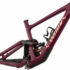 2021 Specialized Enduro S-Works Frame Bikes