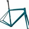 2022 Specialized Aethos Frameset Teal/Chameleon Bikes
