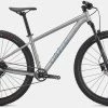 2022 Specialized Rockhopper Expert 29"