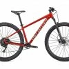 2021 Specialized Rockhopper Elite 29" - GLOSS REDWOOD / SPRUCE