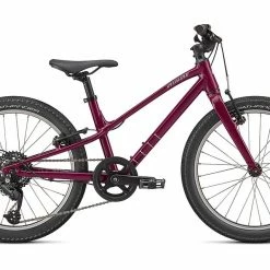 2022 Specialized Jett 20 Lilac/Purple Bikes