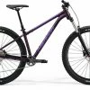 2022 Merida BIG TRAIL 400 Purple