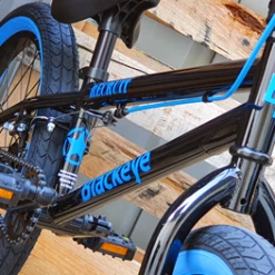 BMX & Scooters 2021 Blackeye Recruit 20