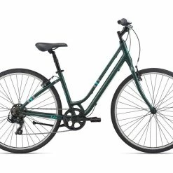 Bikes 2022 Giant Liv Flourish 4