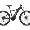 Giant Talon E+ 29 2 Bikes