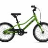 Sunday 2022 Giant ARX 16 C/B Green Bikes