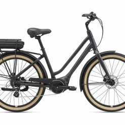 2022 Giant Momemtum LaFree E+