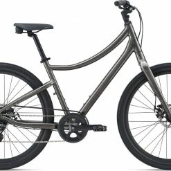 2022 Giant Momemtum Vida Bikes