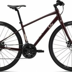 2022 Giant Liv Alight 3 DD Disc Bikes