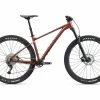 2022 Giant Fathom 29 2 Terracotta Bikes