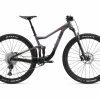 2022 Giant Liv PIQUE 29 2 Bikes