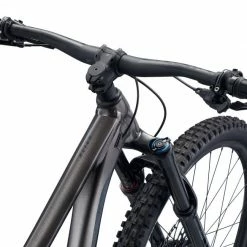 2022 Giant Reign 29 Bikes