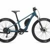 Giant Talon E+ 26 Bikes