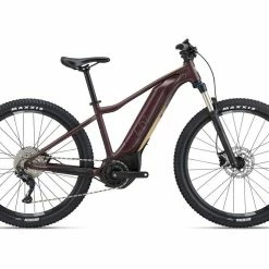 Bikes 2022 Giant Liv Tempt E+ 1