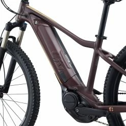 Bikes 2022 Giant Liv Tempt E+ 1 9 Bikes 2022 Giant Liv Tempt E+ 1