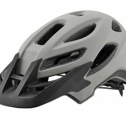 Giant Roost Helmet Mips Grey
