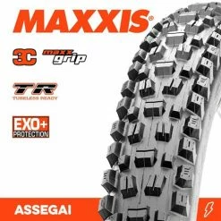 MAXXIS ASSEGAI 29 X 2.50 WT EXO TR Folding Tyre Tyres
